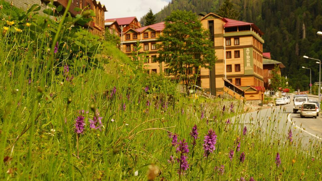 Ayder Resort Hotel Rize Exterior photo